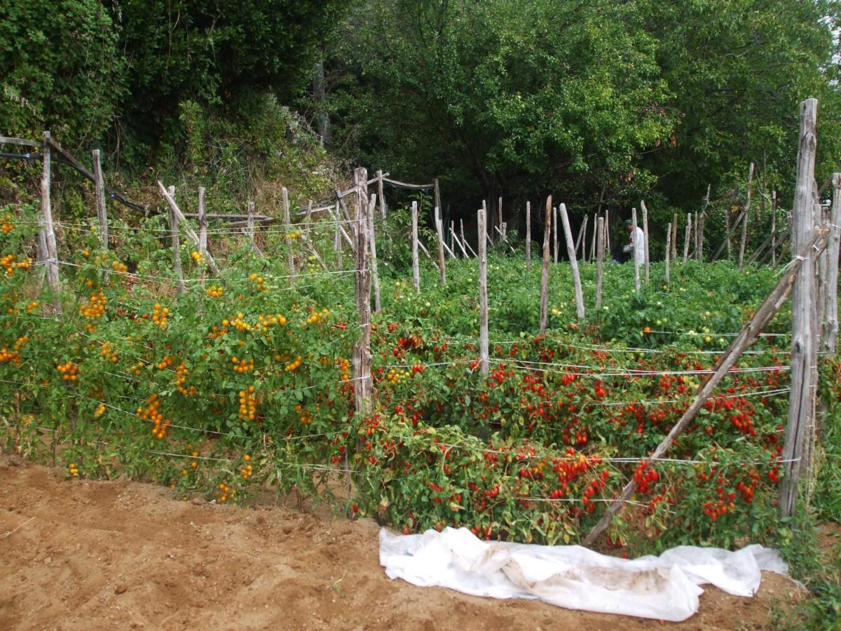 Agriturismo Nonno Tobia Agerola Luaran gambar