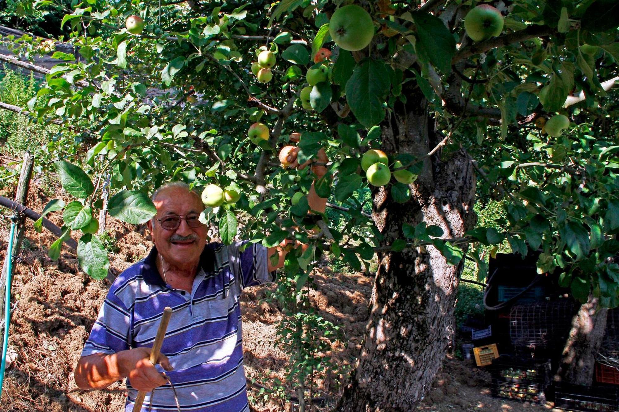 Agriturismo Nonno Tobia Agerola Luaran gambar