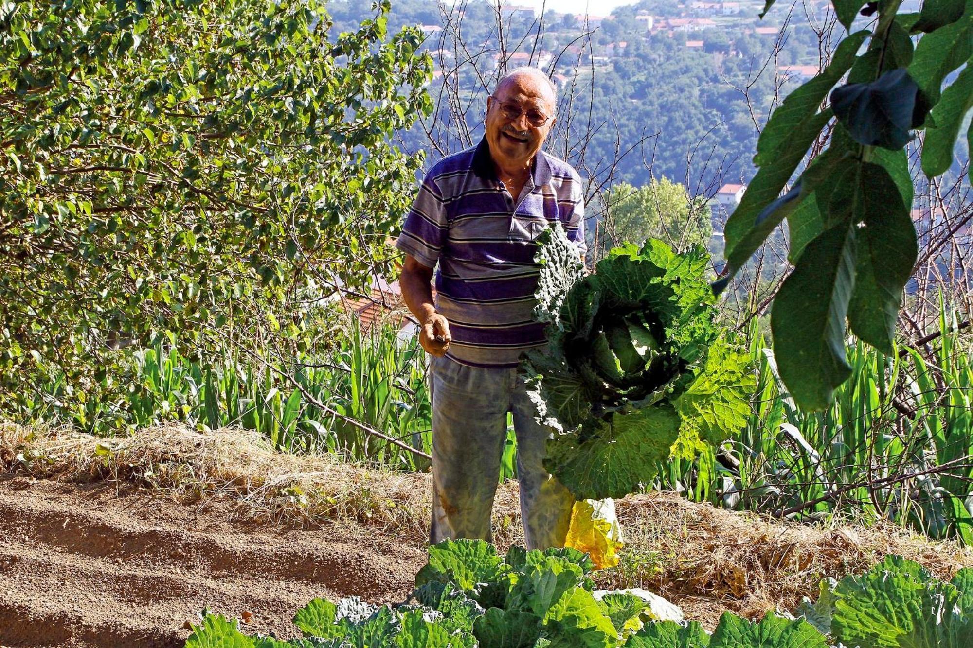 Agriturismo Nonno Tobia Agerola Luaran gambar