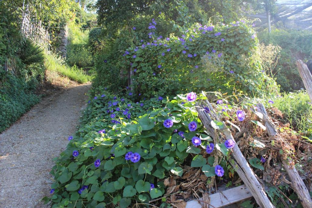 Agriturismo Nonno Tobia Agerola Luaran gambar