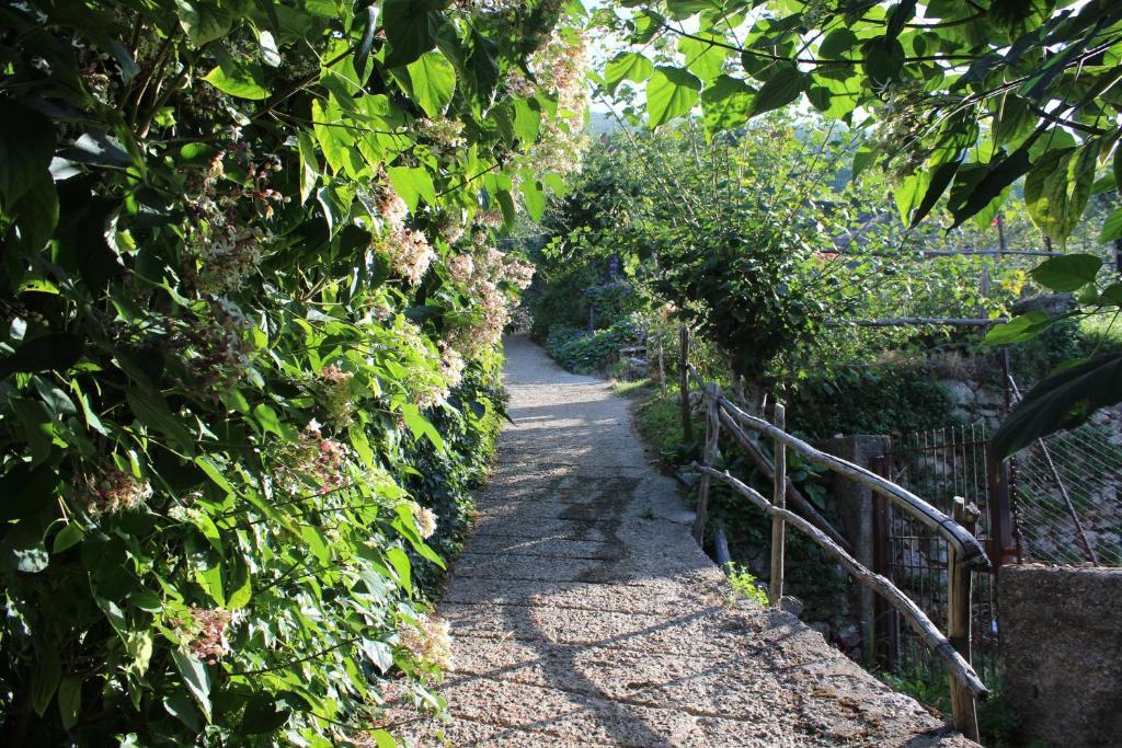 Agriturismo Nonno Tobia Agerola Luaran gambar